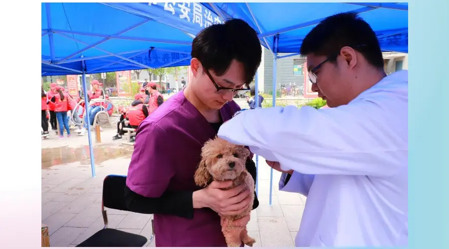 让文明养犬形成良好习惯