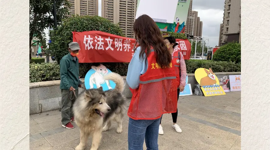 上海浦东塘桥举办“文明养宠”系列活动，让更多社区居民加入文明养宠行列！